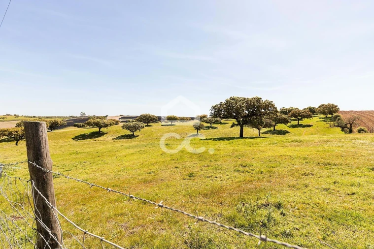 Terreno para Venda em Beja (Santiago Maior e São João Baptista) Foto 60