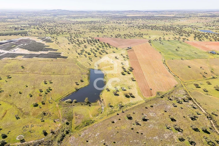 Terreno para Venda em Beja (Santiago Maior e São João Baptista) Foto 15