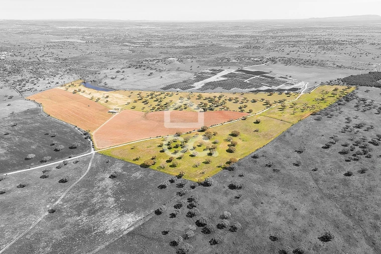 Terreno para Venda em Beja (Santiago Maior e São João Baptista) Foto 31