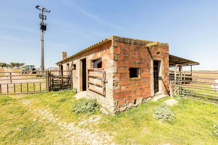 Terreno para Venda em Beja (Santiago Maior e São João Baptista) Foto 53