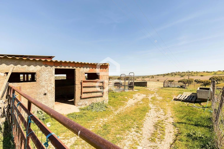 Terreno para Venda em Beja (Santiago Maior e São João Baptista) Foto 51