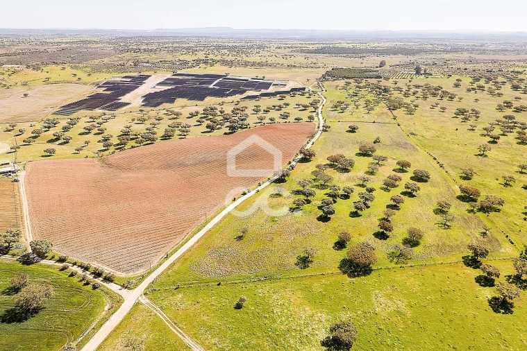 Terreno para Venda em Beja (Santiago Maior e São João Baptista) Foto 34
