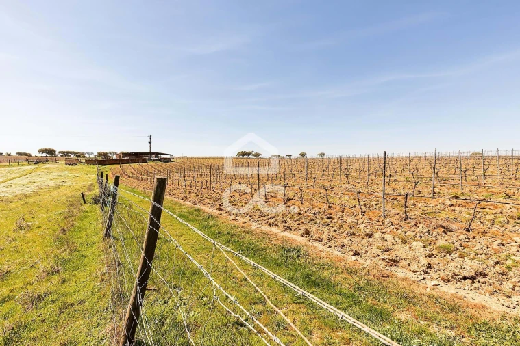 Terreno para Venda em Beja (Santiago Maior e São João Baptista) Foto 61