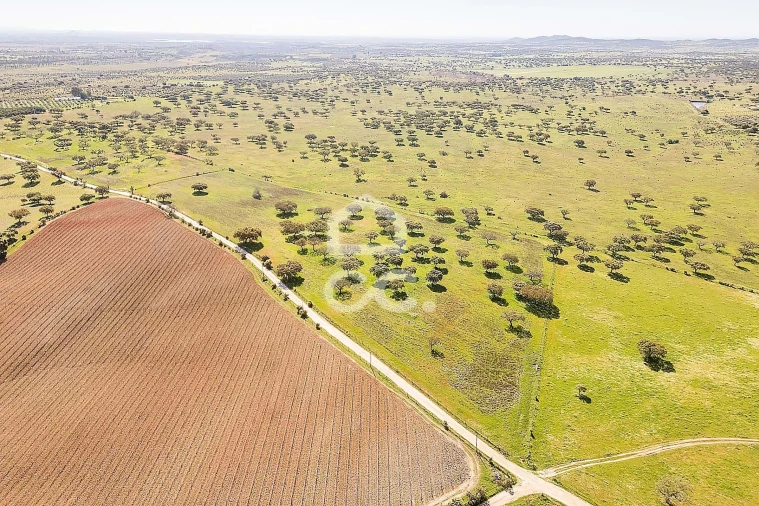 Terreno para Venda em Beja (Santiago Maior e São João Baptista) Foto 21