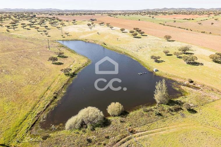 Terreno para Venda em Beja (Santiago Maior e São João Baptista) Foto 22