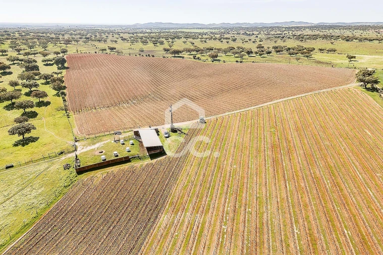 Terreno para Venda em Beja (Santiago Maior e São João Baptista) Foto 27
