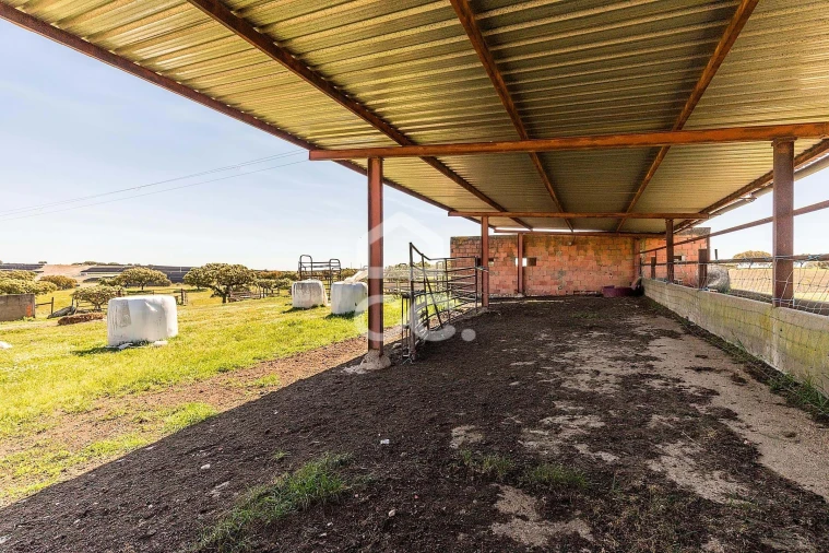 Terreno para Venda em Beja (Santiago Maior e São João Baptista) Foto 58