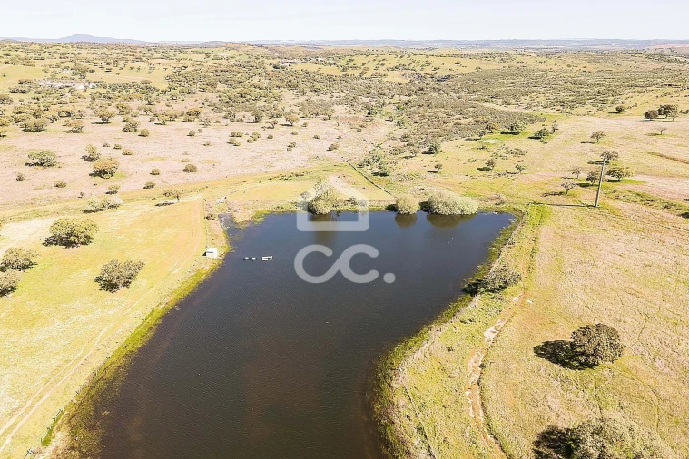 Terreno para Venda em Beja (Santiago Maior e São João Baptista) Foto 47