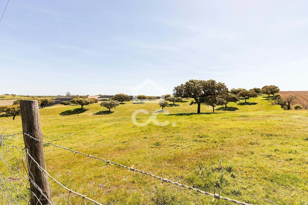 Terreno para Venda em Beja (Santiago Maior e São João Baptista) Foto 60