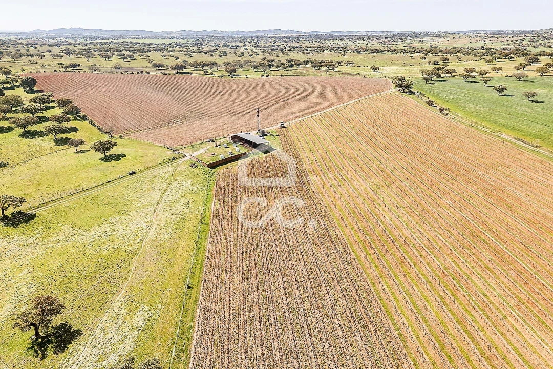 Terreno para Venda em Beja (Santiago Maior e São João Baptista) Foto 26