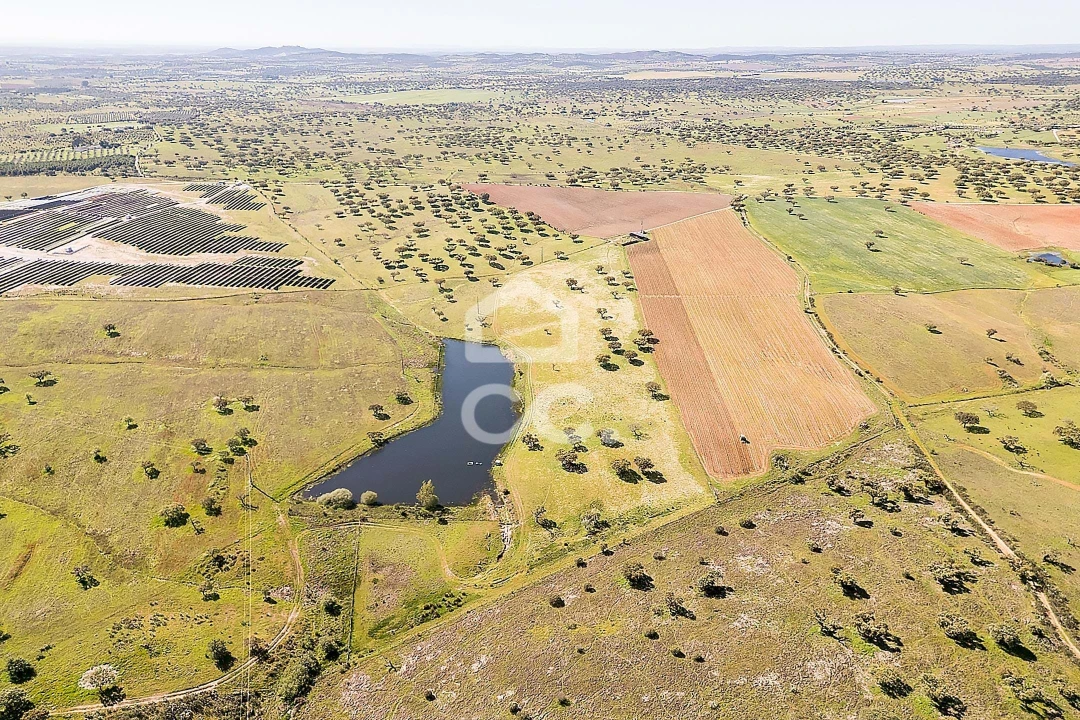 Terreno para Venda em Beja (Santiago Maior e São João Baptista) Foto 15