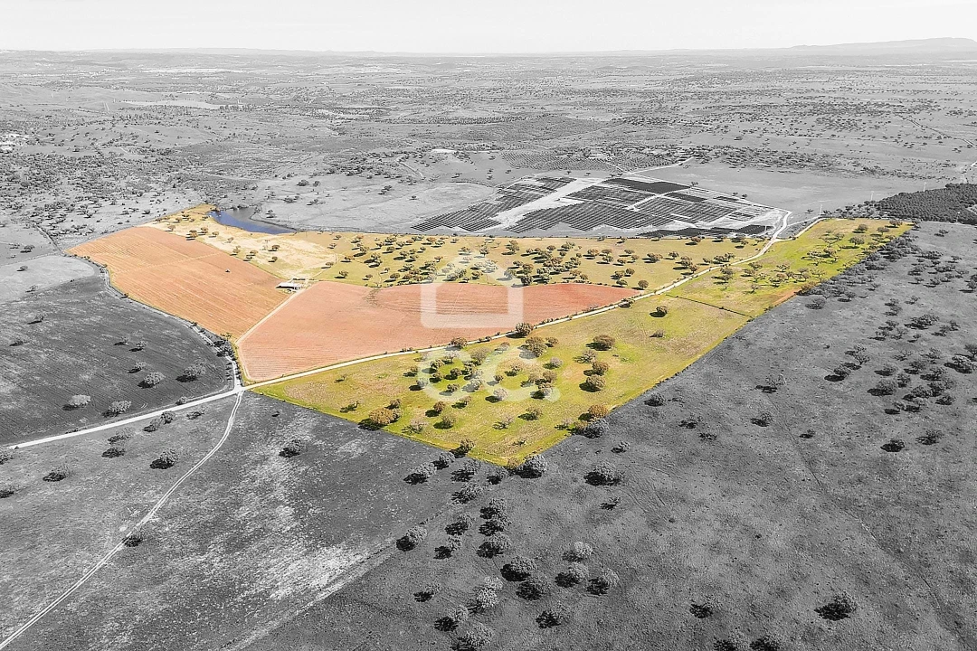 Terreno para Venda em Beja (Santiago Maior e São João Baptista) Foto 31