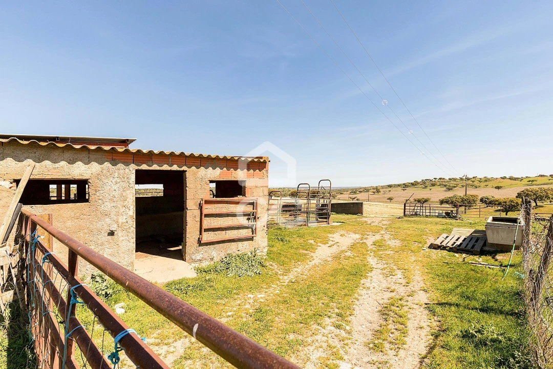 Terreno para Venda em Beja (Santiago Maior e São João Baptista) Foto 51