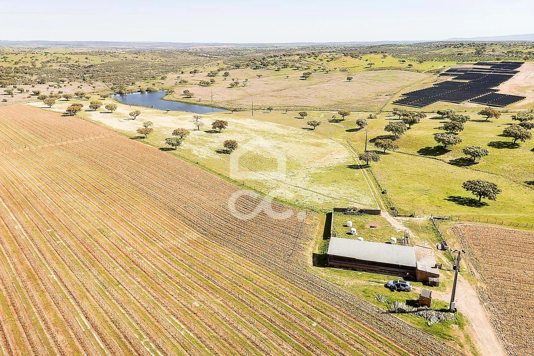 Terreno para Venda em Beja (Santiago Maior e São João Baptista) Foto 38