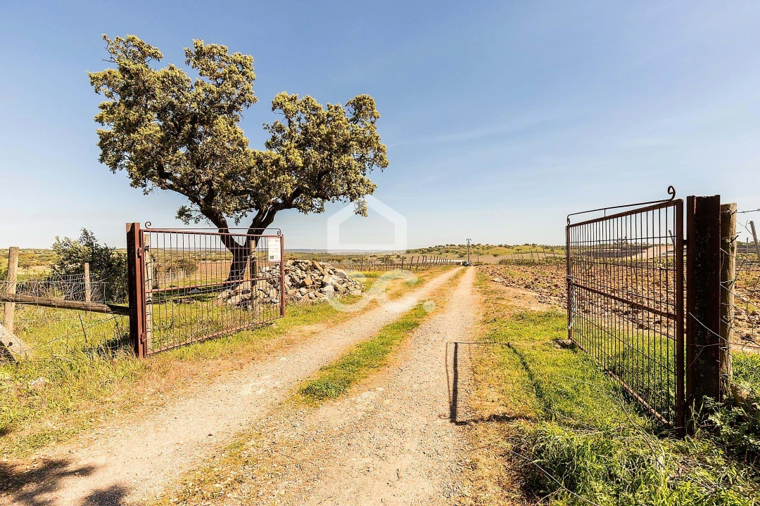 Terreno para Venda em Beja (Santiago Maior e São João Baptista) Foto 6