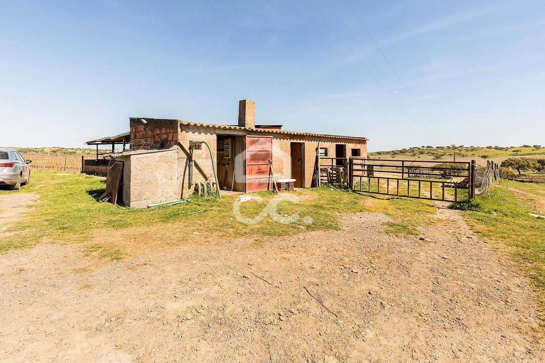 Terreno para Venda em Beja (Santiago Maior e São João Baptista) Foto 50