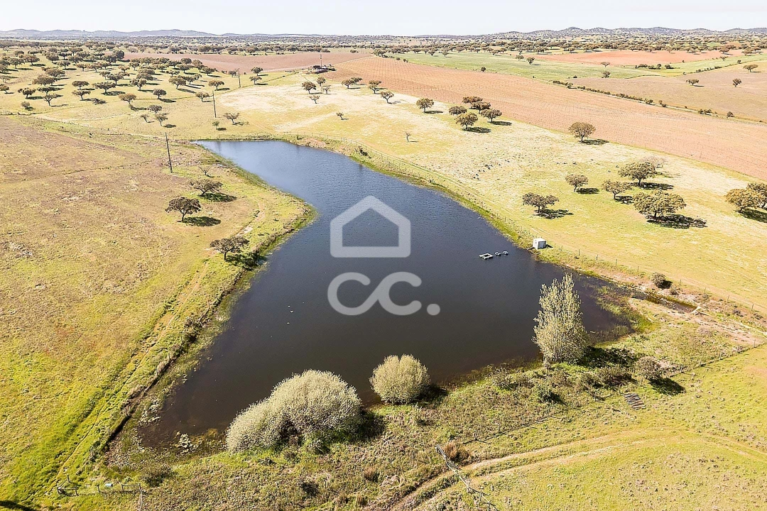 Terreno para Venda em Beja (Santiago Maior e São João Baptista) Foto 22