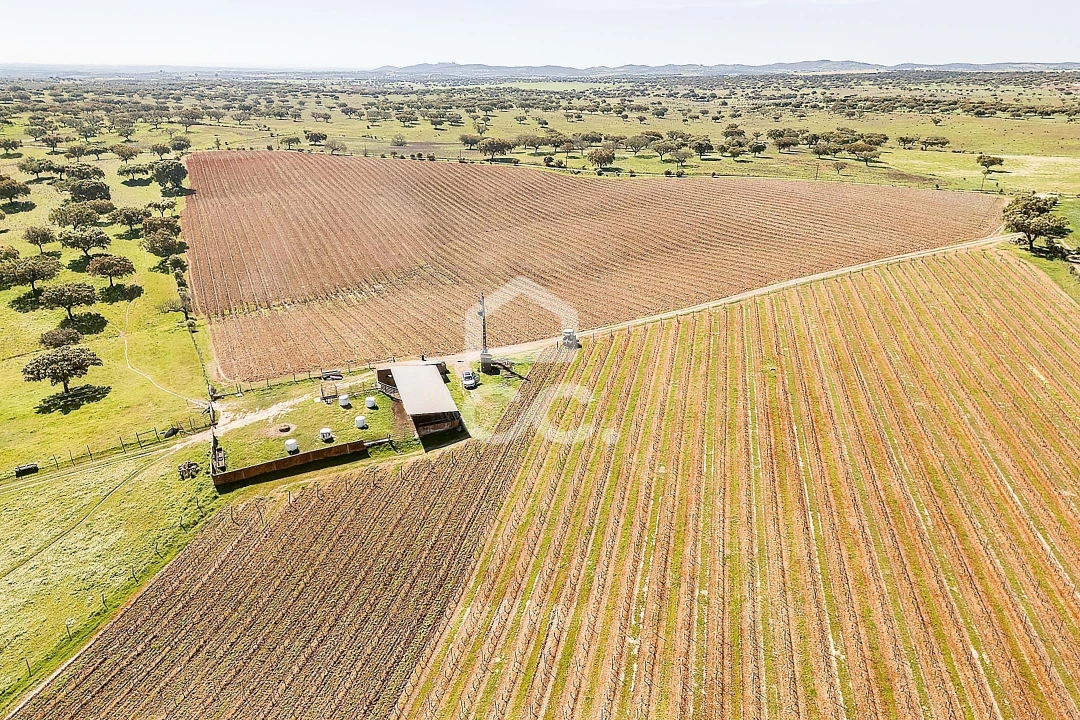 Terreno para Venda em Beja (Santiago Maior e São João Baptista) Foto 27
