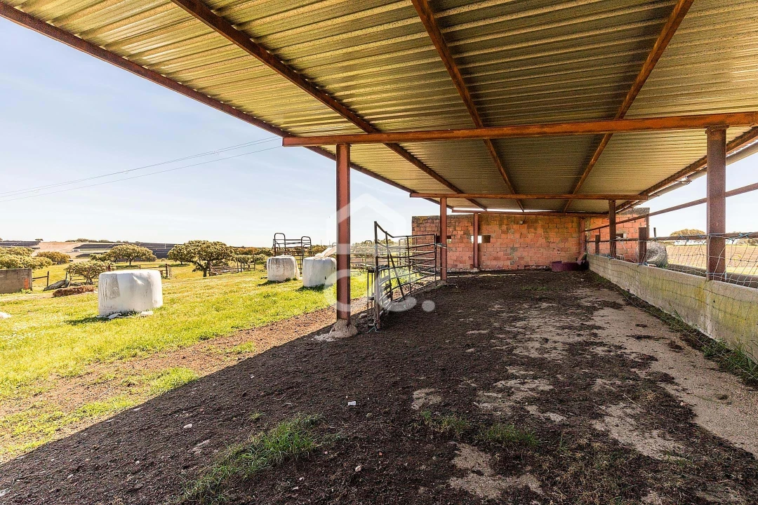 Terreno para Venda em Beja (Santiago Maior e São João Baptista) Foto 58