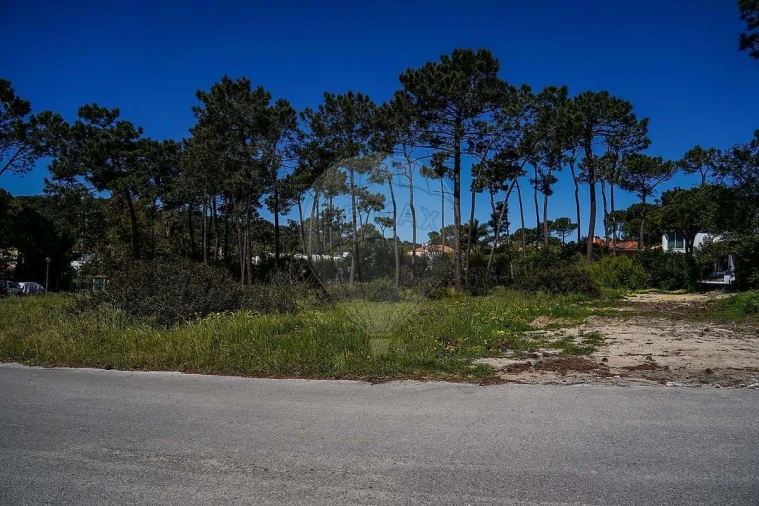 Terreno para Venda em Charneca de Caparica e Sobreda Foto 12