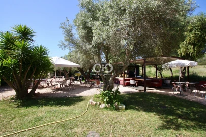 Negócio para Venda em Aljezur