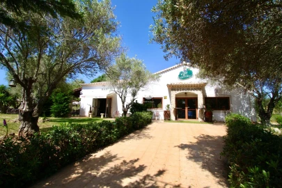 Negócio para Venda em Aljezur