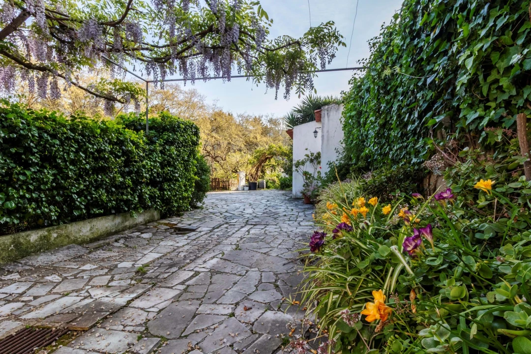 Moradia T8 para Venda em Colares Foto 9