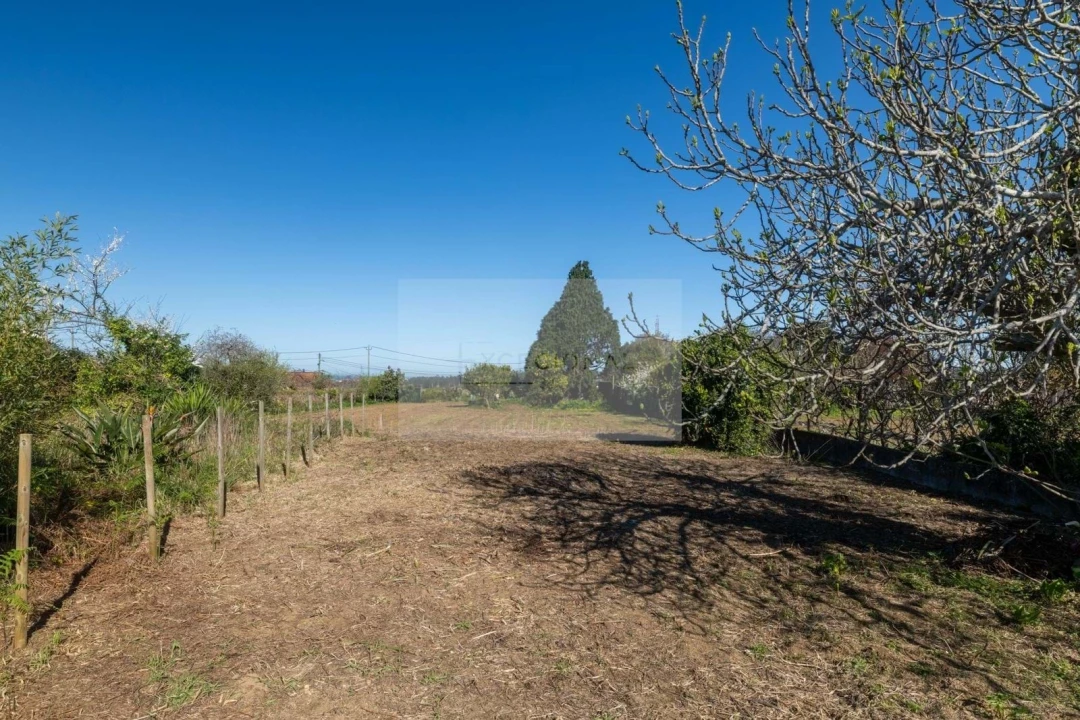 Moradia T2 para Venda em Espinho Foto 6