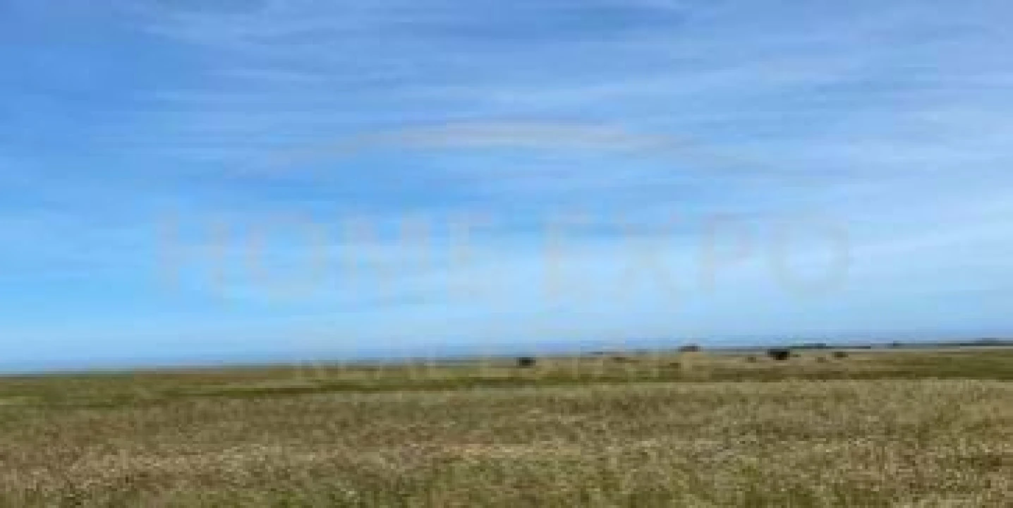 Quinta para Venda em São Teotónio Foto 6