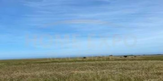 Quinta para Venda em São Teotónio