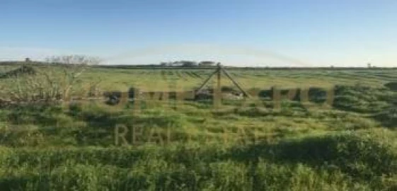 Quinta para Venda em São Teotónio