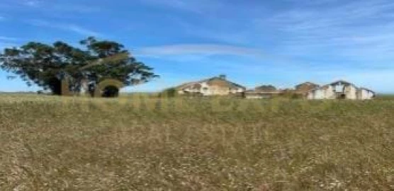 Quinta para Venda em São Teotónio