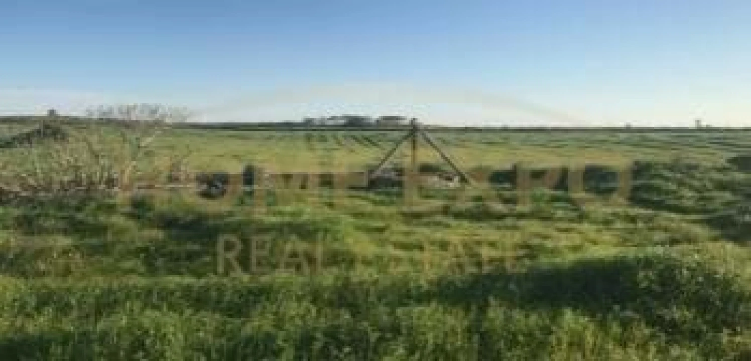 Quinta para Venda em São Teotónio Foto 11