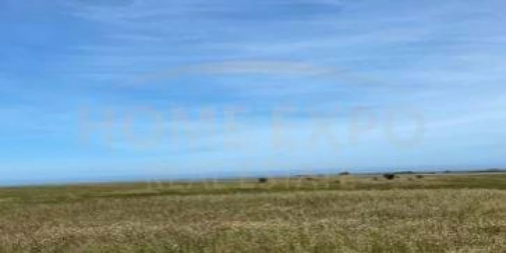 Quinta para Venda em São Teotónio Foto 6