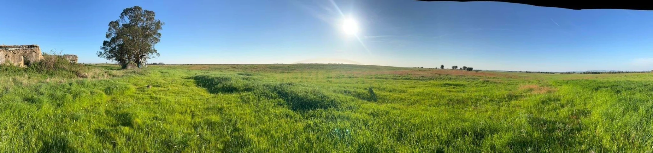 Quinta para Venda em São Teotónio Foto 10
