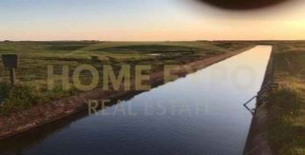 Quinta para Venda em São Teotónio Foto 7