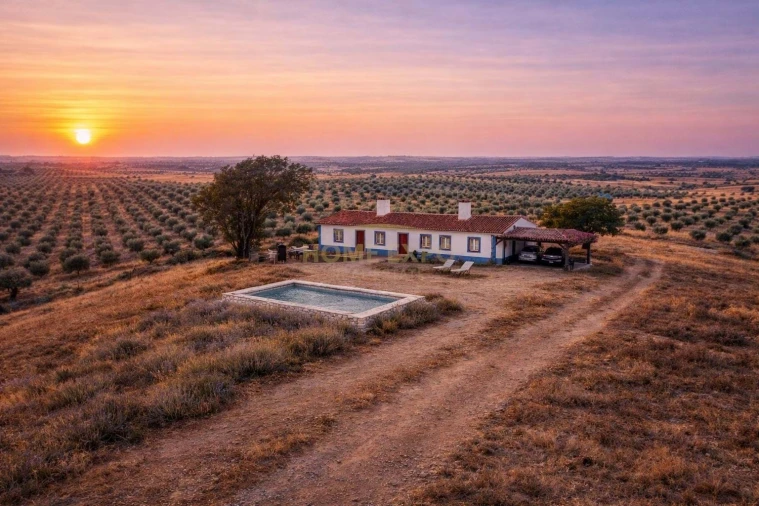 Quinta para Venda em São Teotónio Foto 3