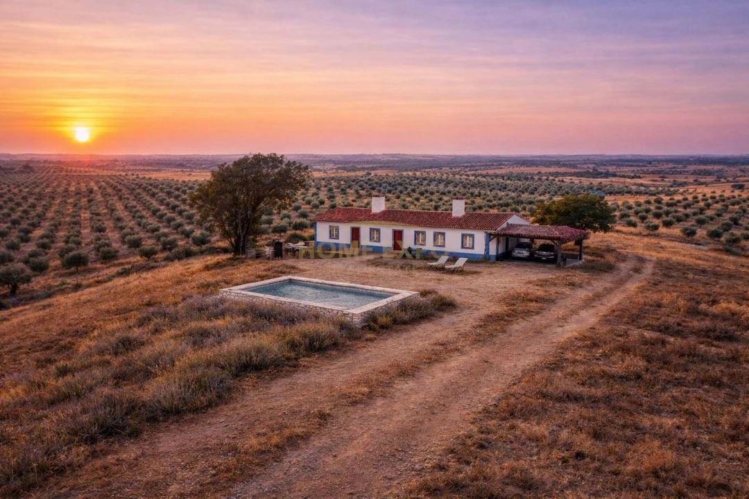 Quinta para Venda em São Teotónio Foto 3