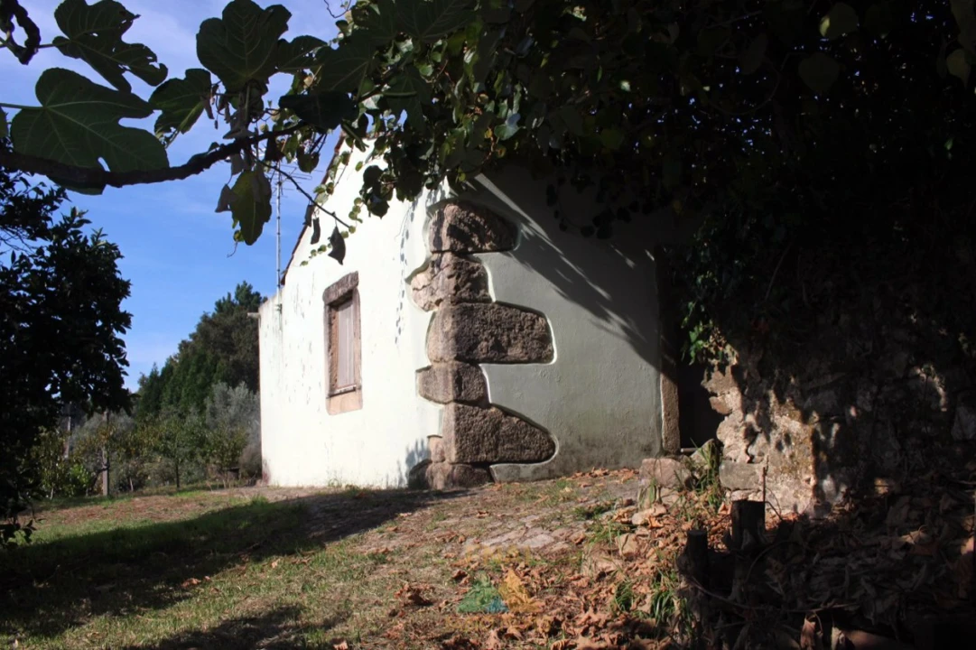 Quinta T1 para Venda em Ossela Foto 17