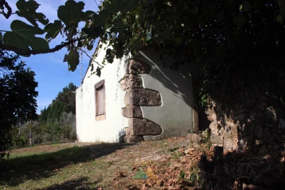 Quinta T1 para Venda em Ossela