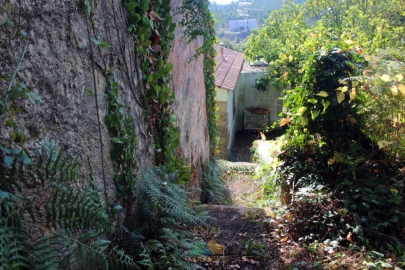 Quinta T1 para Venda em Ossela