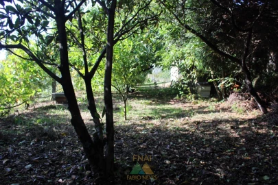 Quinta T1 para Venda em Ossela
