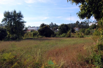 Quinta T1 para Venda em Ossela