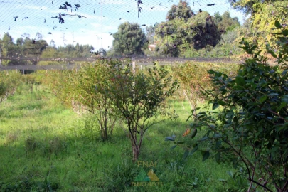 Quinta T1 para Venda em Ossela