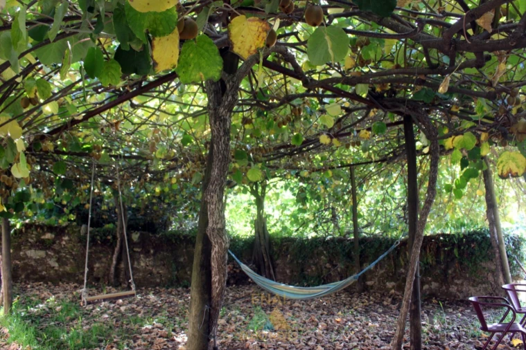 Quinta T1 para Venda em Ossela Foto 21