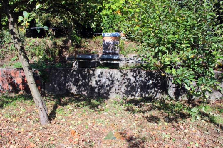 Quinta T1 para Venda em Ossela Foto 37