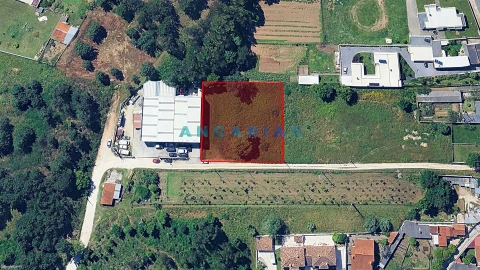 Terreno para Venda em Regueira de Pontes