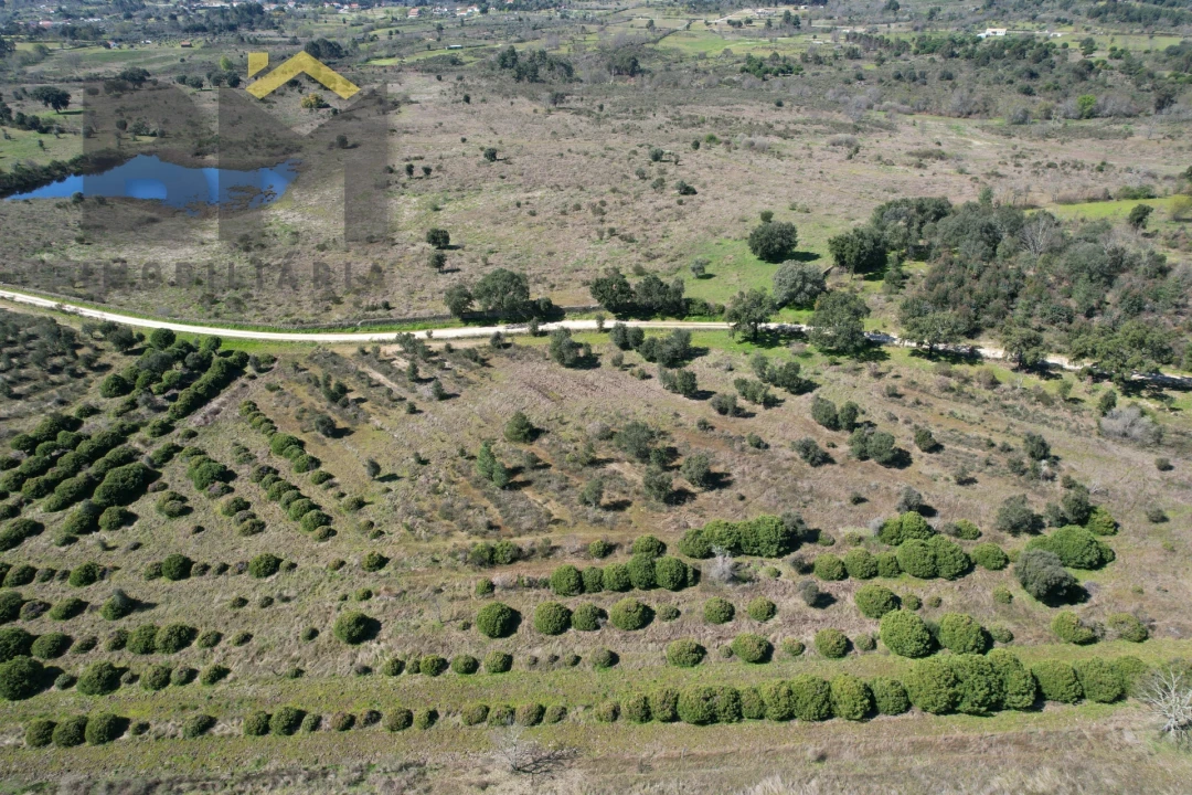 Terreno Agricola ou Rústico para Venda em Aldeia do Bispo, Águas e Aldeia de João Pires Foto 8
