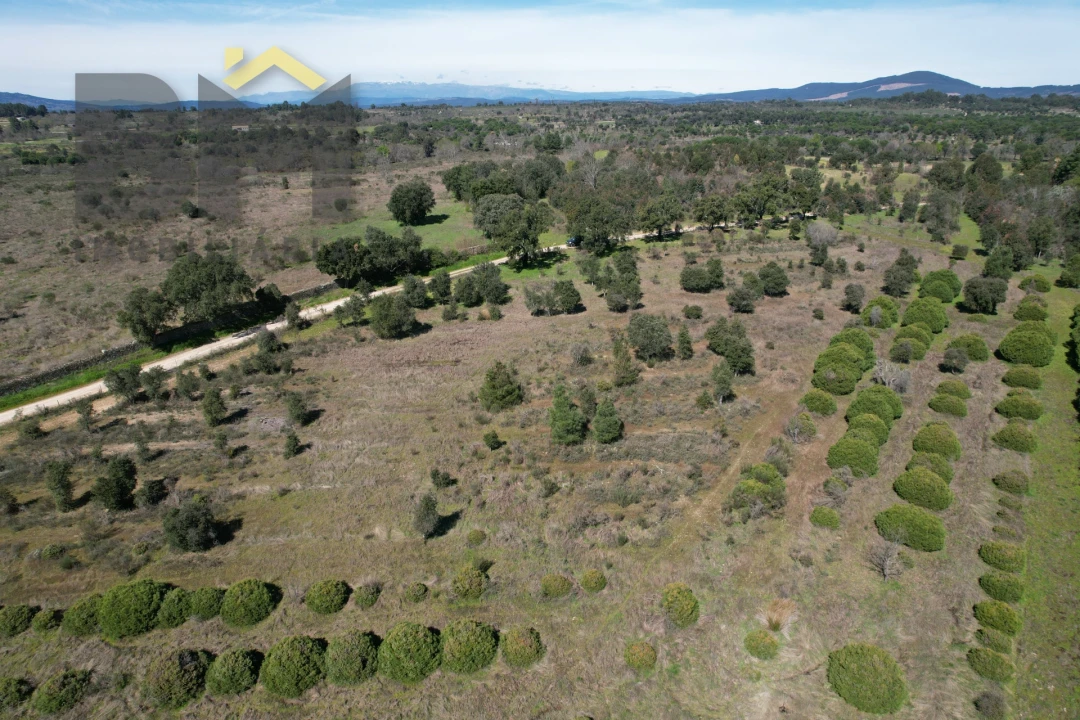 Terreno Agricola ou Rústico para Venda em Aldeia do Bispo, Águas e Aldeia de João Pires Foto 4