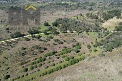 Terreno Agricola ou Rústico para Venda em Aldeia do Bispo, Águas e Aldeia de João Pires